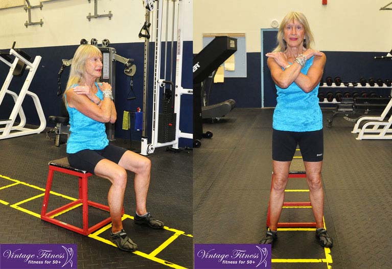 Chair Squat exercise