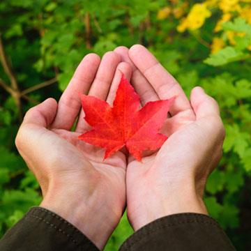 Happy Canada Day