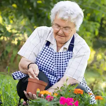 Pain-Free Gardening Tips for Seniors