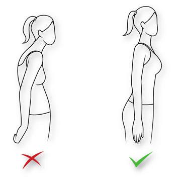 Schematic of the body postures the sitting and the quadrupedal   Download Scientific Diagram