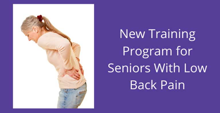 Ease your lower back pain in our new small group virtually training program