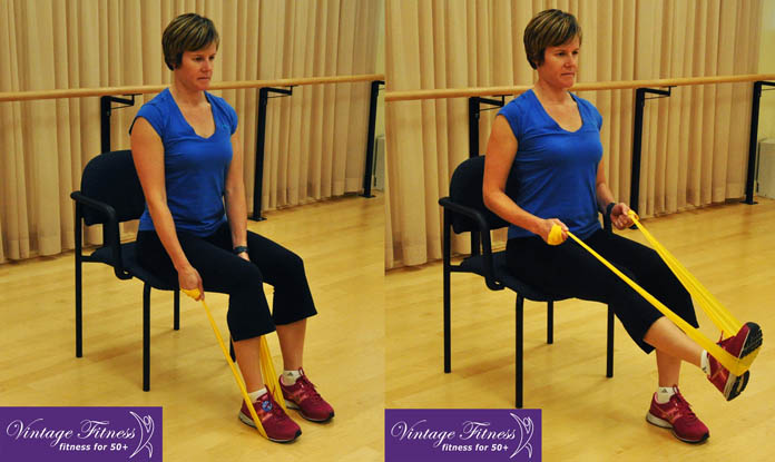 Seated Leg Extension